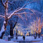 Snowy Stroll